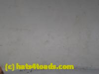 /home//u458753944/public_html/sourcegallery//Roxborough Toad Detour/2013-2019/2017/P4110678.JPG